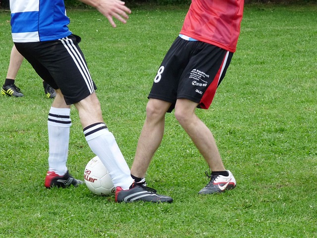 志趣相投的 志趣相投的