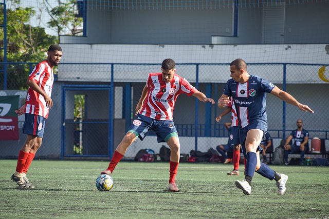 赢家地位 赢家地位