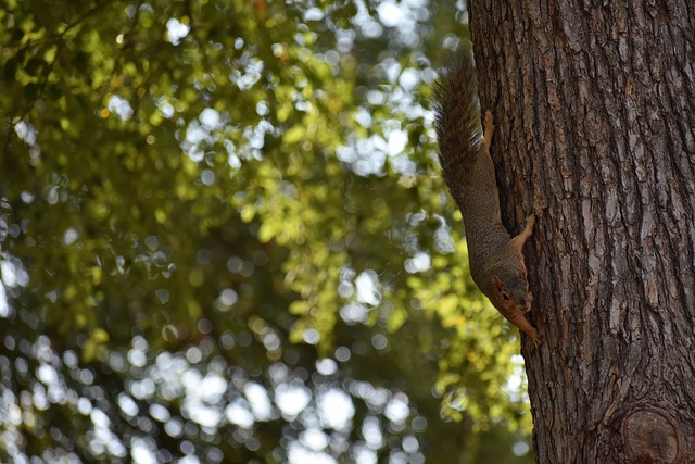 的动荡局势 的动荡局势