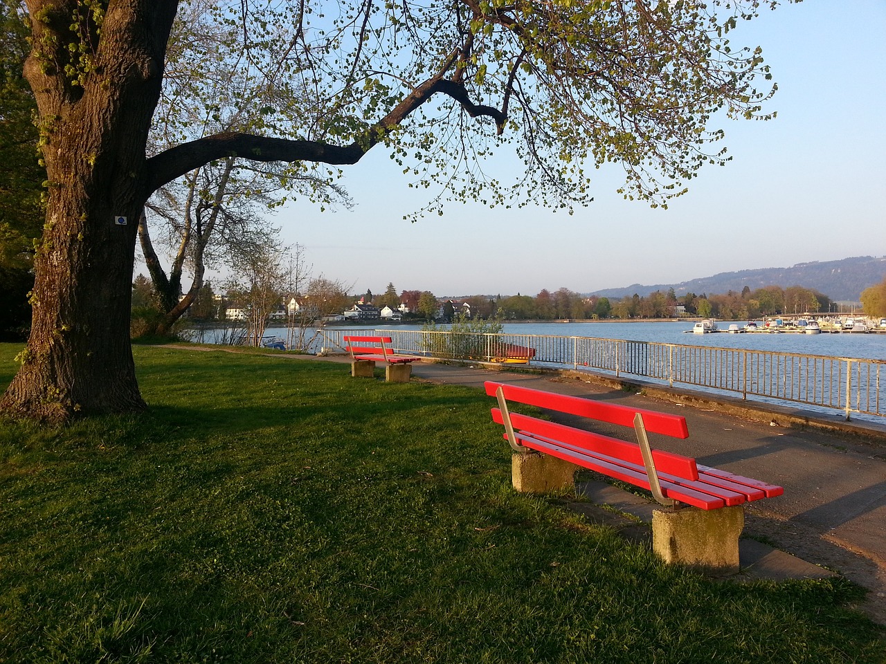 上海海港 上海海港